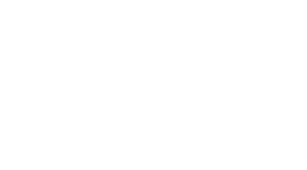 PaperWings